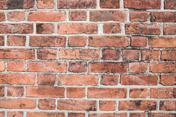 Grunge brick wall texture.