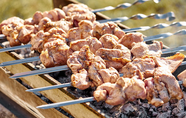 Barbecue skewers with meat