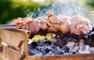 Barbecue skewers with meat