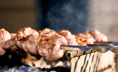 Barbecue skewers with meat