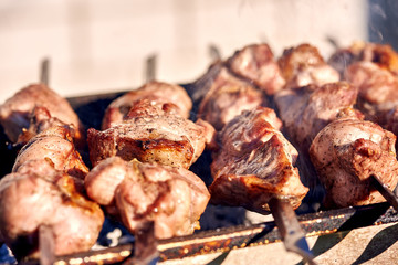 Barbecue skewers with meat