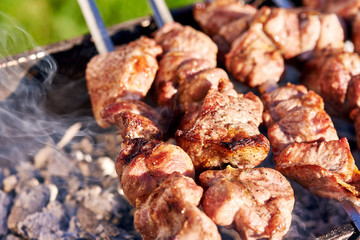 Barbecue skewers with meat