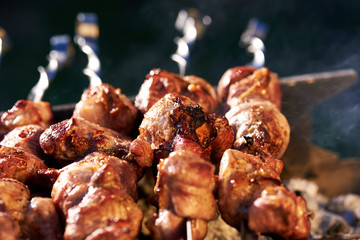 Barbecue skewers with meat