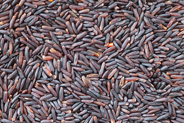 Close - up Healthy food uncooked brown rice