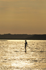 Silhouette of stand up paddler (vertical) 