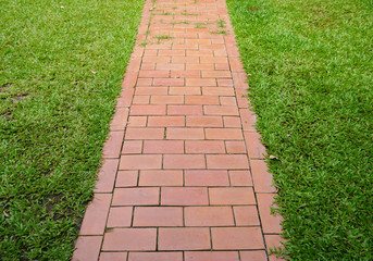 red brick walkway with green grass
