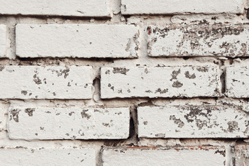backgrounds of white bricks Closeup