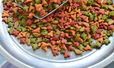 cat food in scoop on weighting scale tray