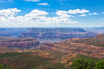 AZ-Grand Canyon-North Rim-Timp Point.  This is a remote area of the North Rim, where a permit is necessary in order to camp in this area.