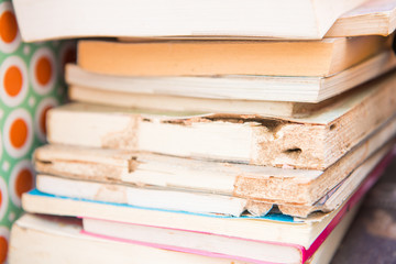 Books damaged by termites eat