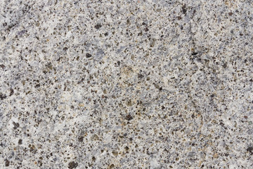 Stone surface texture