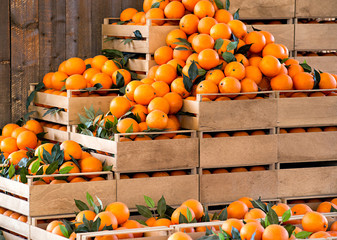 Wooden crates of fresh ripe oranges © photology1971
