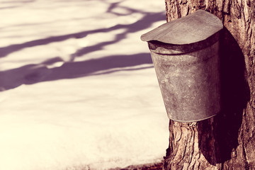 Naklejka premium Vintage look covered maple syrup sap bucket with snow