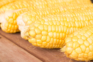 Fresh sweet corn on wooden background
