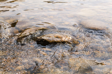 mountain river Prut closeup