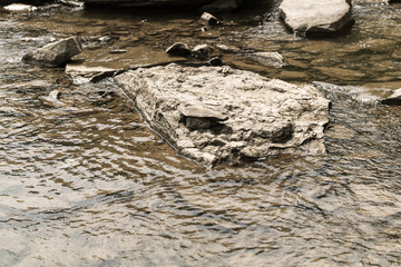 mountain river Prut closeup