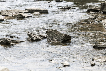 mountain river Prut closeup