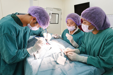 group of veterinarian surgery in operation room 

