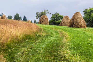 sheaves of hay in the Carpathians © Olexandr