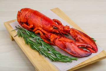 Lobster