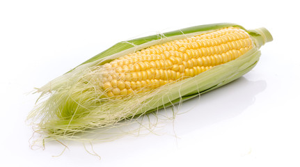 Fresh corn cob © thodonal