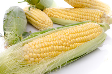 Fresh corn cob