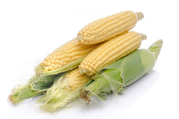 Fresh corn cob © thodonal