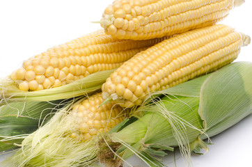Fresh corn cob © thodonal