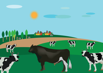 Obraz na płótnie Canvas paesaggio di campagna con bovini