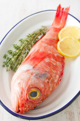 red fish with herbs and lemon on dish on white wooden background