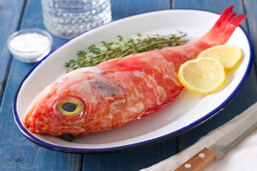 red fish with herbs and lemon on dish on blue background and glass of water
