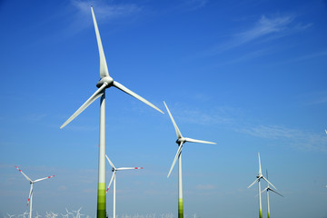 Fototapeta premium Windräder