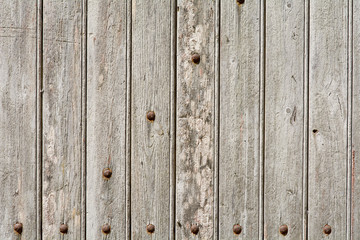 Fototapeta premium Wood door with panels and rivets