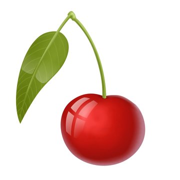 ciliege in bicicletta