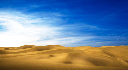 Fototapeta na wymiar panorama desertico