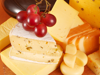 Cheese still life