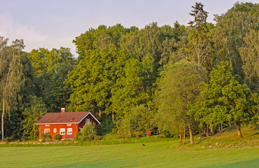 Red house and deer