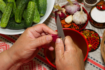 Pickling cucumbers, pickling - hands close-up, cucumber, herbs,