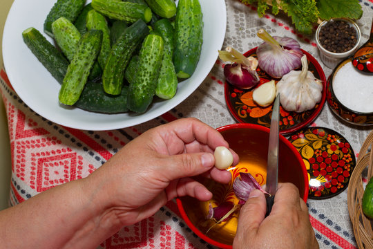 Pickling cucumbers, pickling - hands close-up, cucumber, herbs,