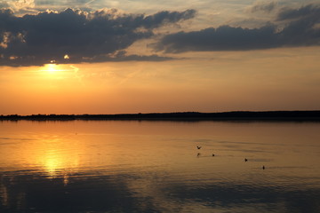 Naklejka premium Sommerabend