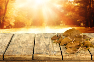 autumn background 