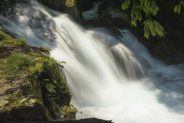 菊池渓谷の渓流