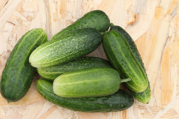 The fresh cucumbers lying on a table in a garden