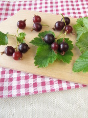 Jostabeeren