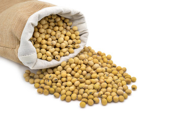 Isolated soy beans spilling out of brown cloth bag