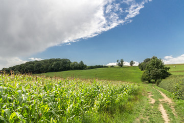 Fototapeta na wymiar Landscape South Limburg, Netherlands. Sunny day with rain clouds.
