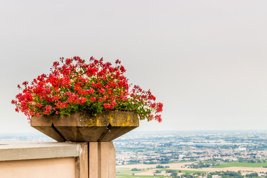 geraniums pot and countryside of Romagna in Italy