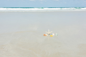 Fototapeta na wymiar Beautiful starfish with sea
