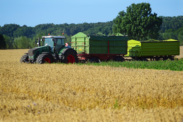 Fototapeta premium tractor with two trailers at harvest on a wheat field