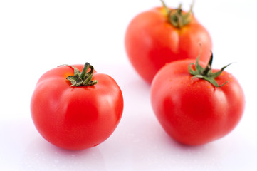 The fresh tomatoes